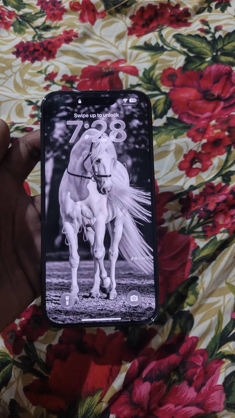 Apple iPhone 14 Pro Max 1