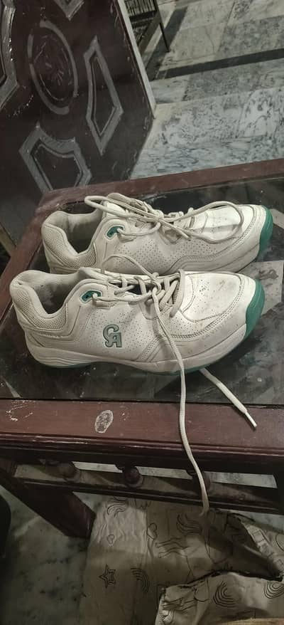 CA shoe griper 9 size