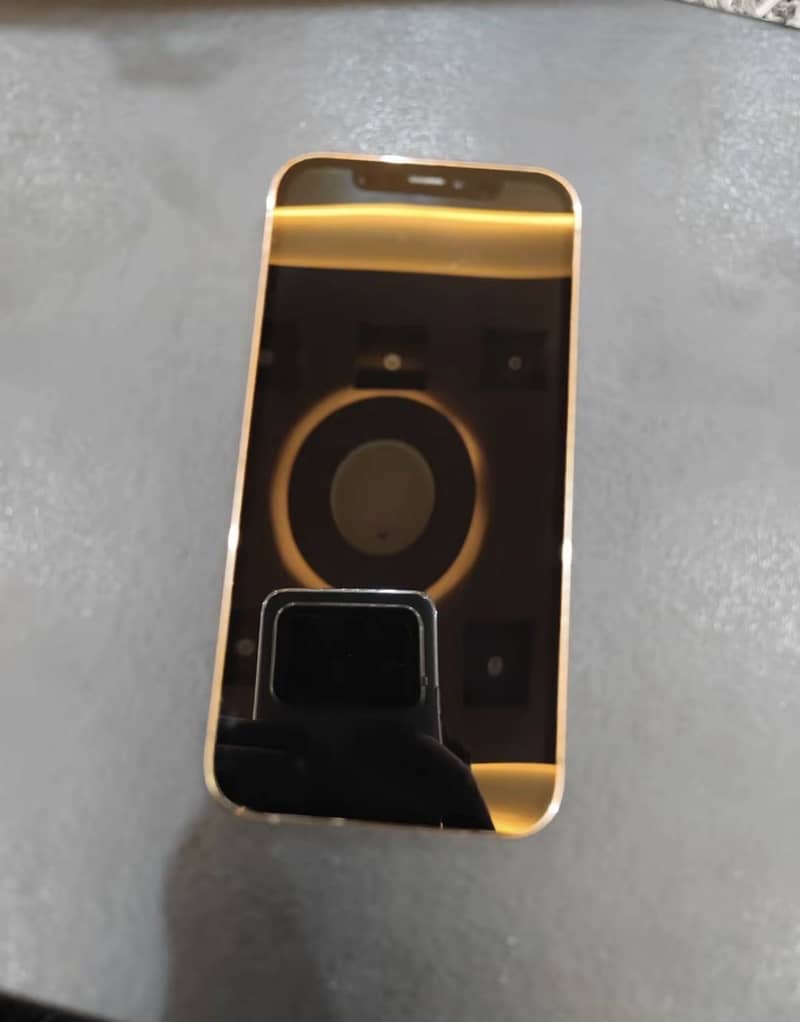 Apple iPhone 12 Pro 3