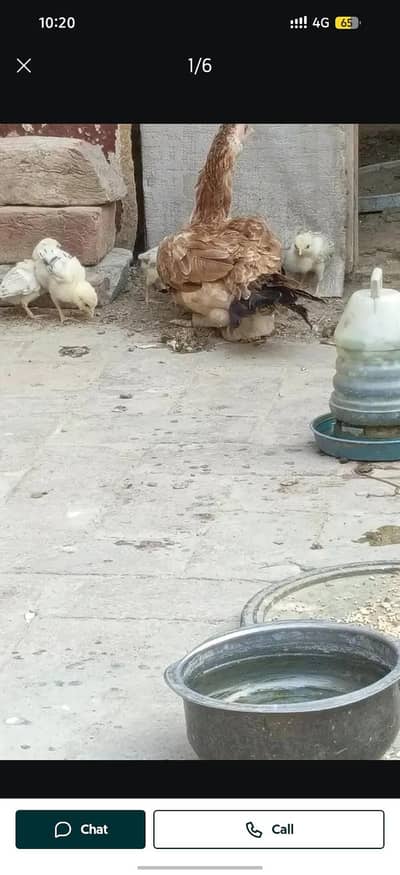 Urgent sale
