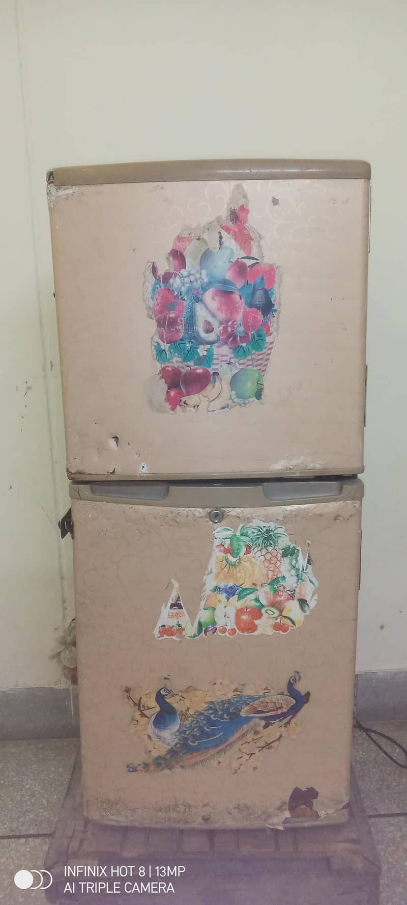 Medium Size Fridge 0