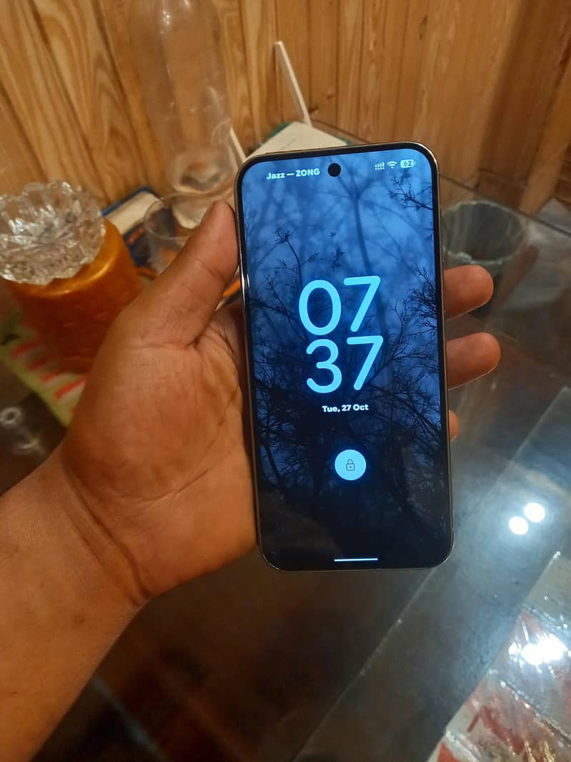 Google Pixel 9 Pro XL 1