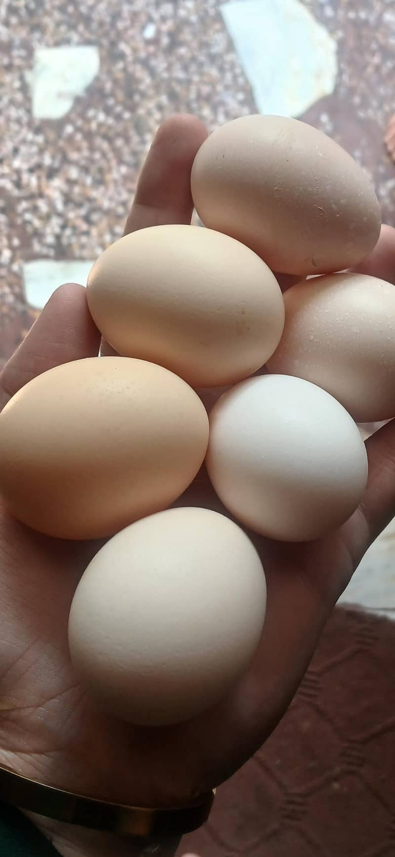 pure desi eggs 0