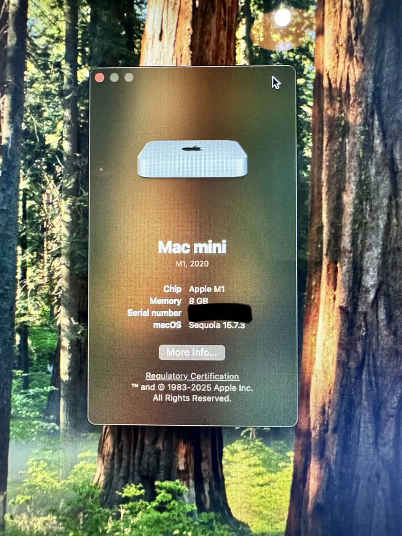 Mac Mini M1, 2020 4