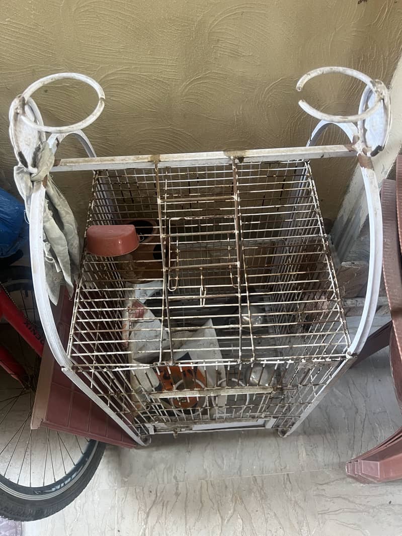 Cage iron 1
