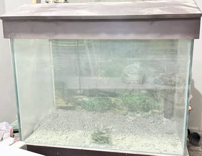 Aquarium with trolley for sale