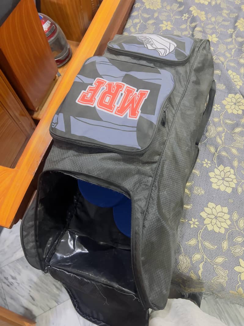 Professional cricket kit 2