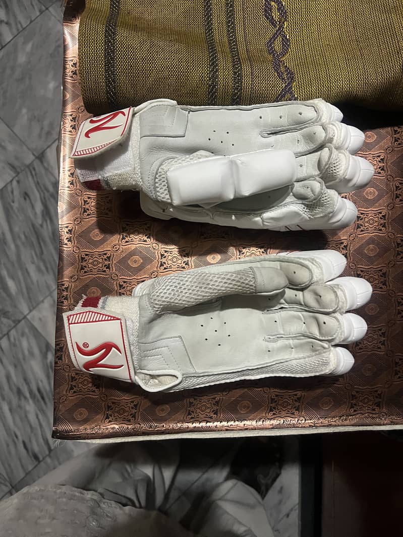 Professional cricket kit 4