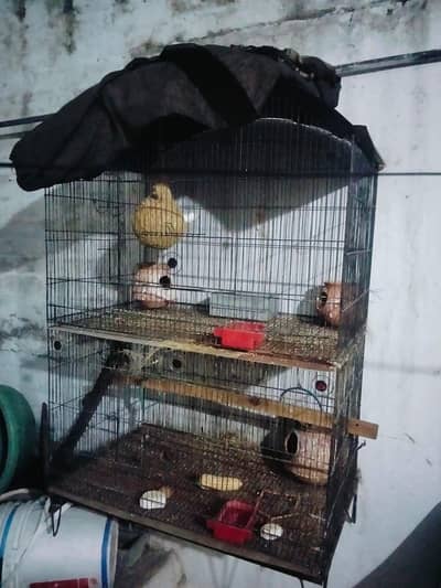 for sale