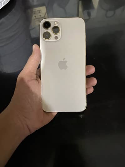 Apple iPhone 12 Pro Max