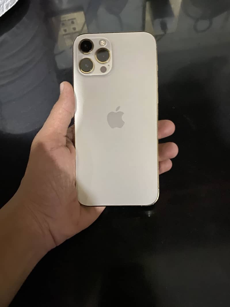 Apple iPhone 12 Pro Max 0