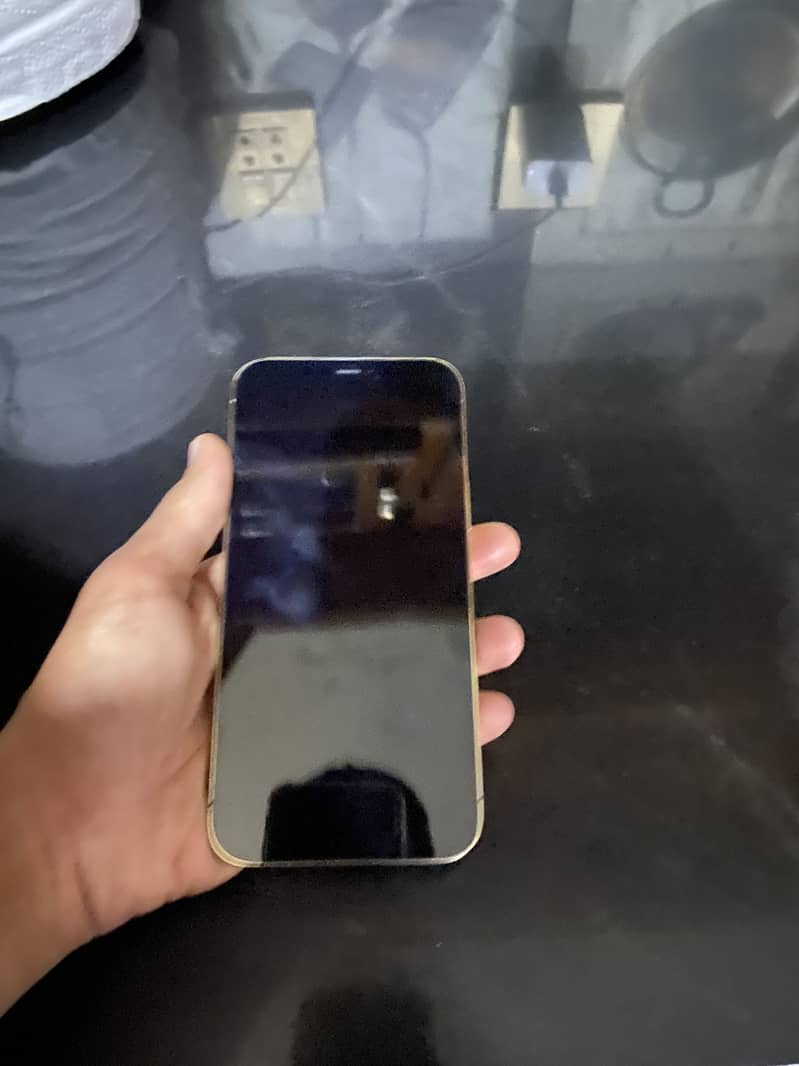 Apple iPhone 12 Pro Max 2