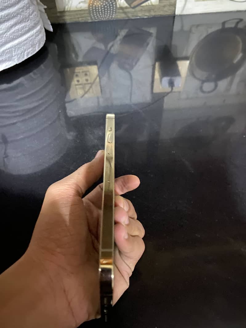 Apple iPhone 12 Pro Max 3