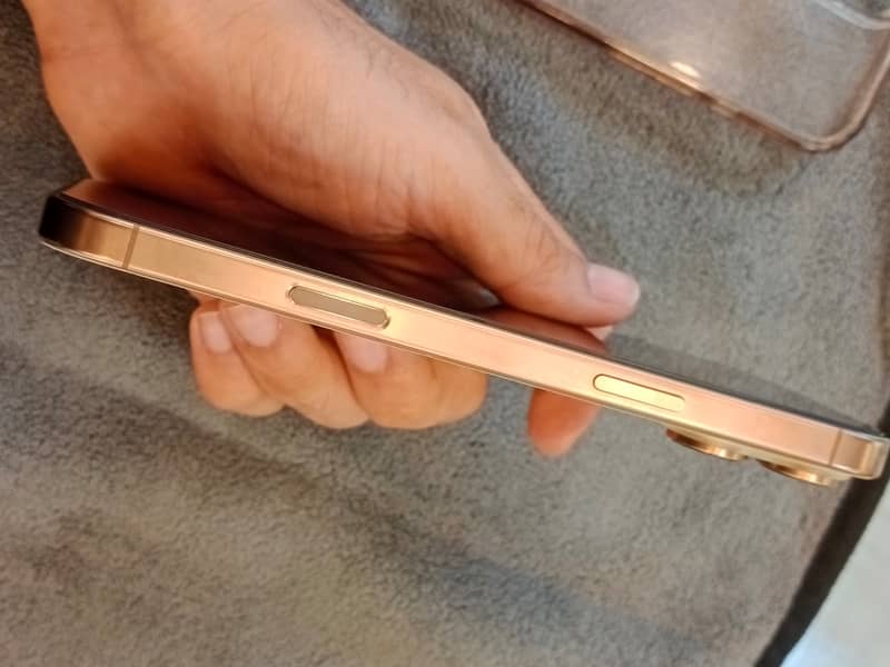 Apple iPhone 16 Pro Max 4