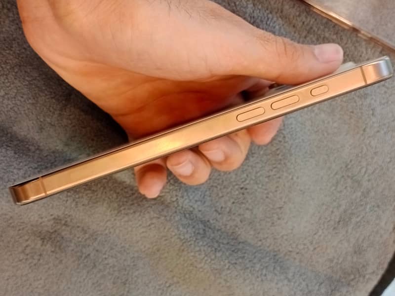 Apple iPhone 16 Pro Max 6
