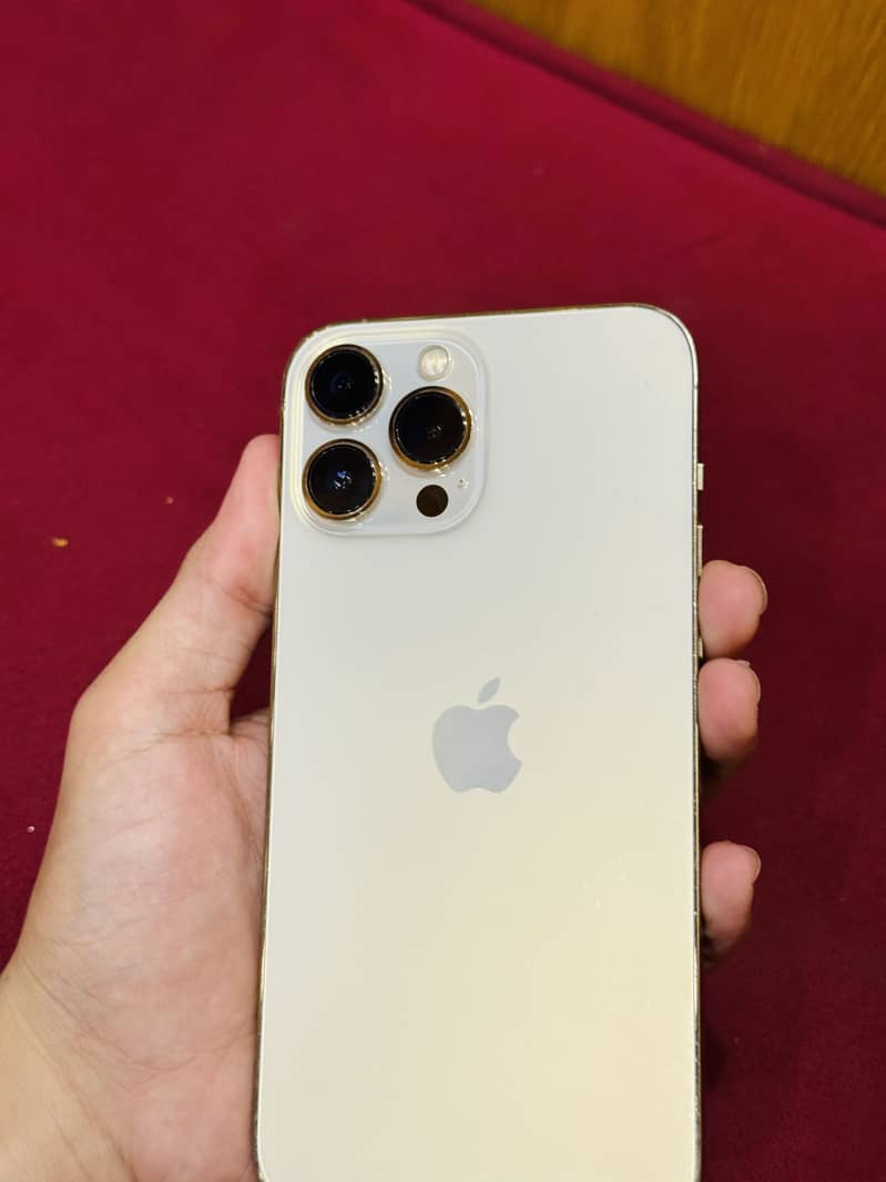 Apple iPhone 13 Pro Max 2