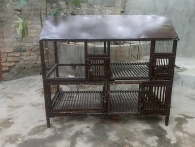 Birds Cage