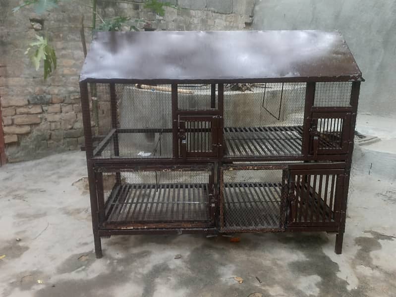Birds Cage 0