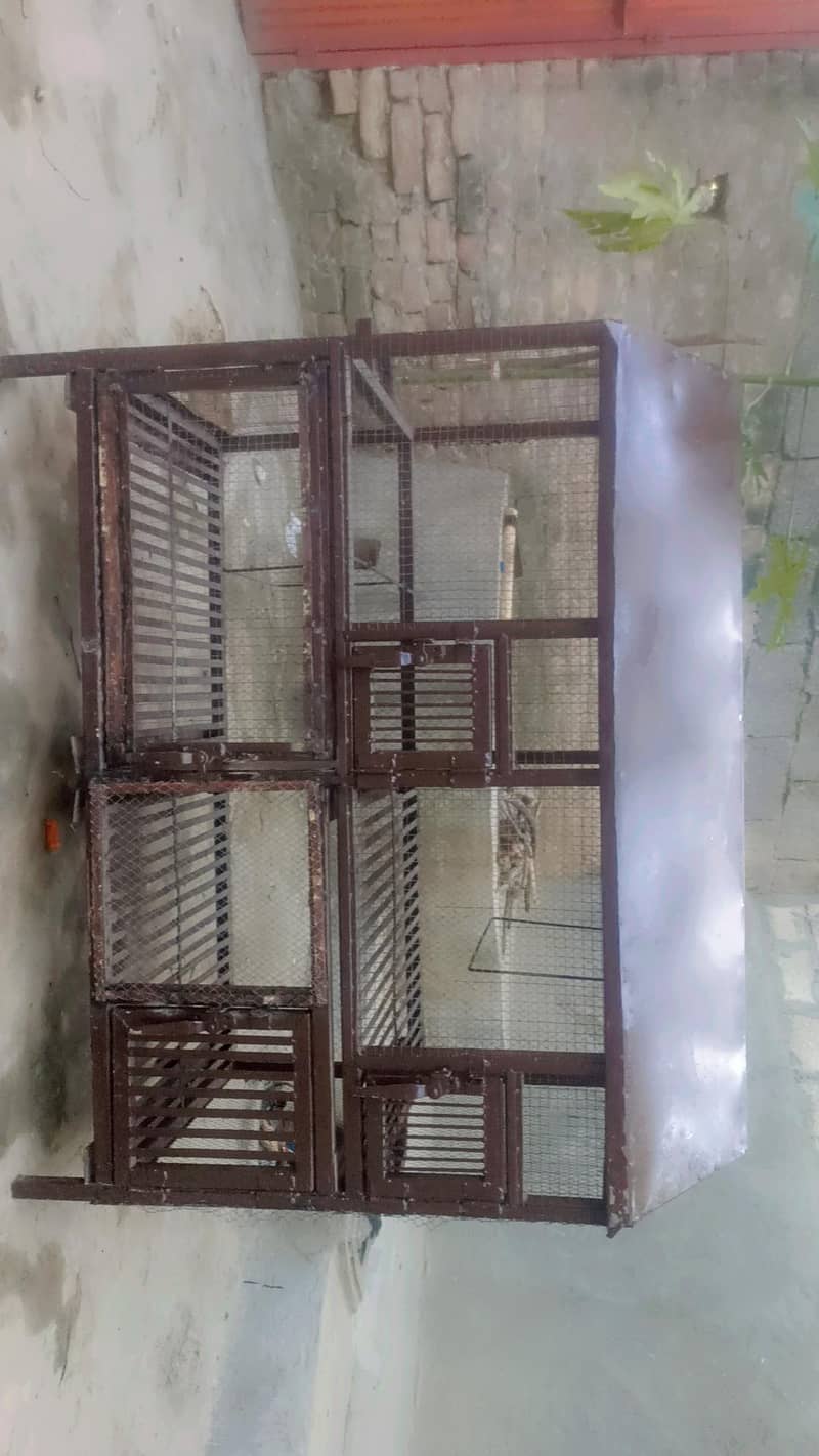 Birds Cage 1