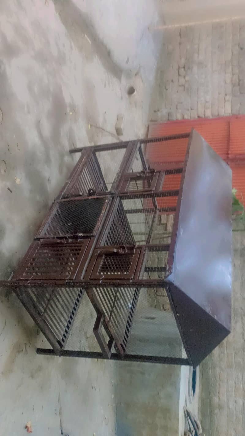 Birds Cage 5