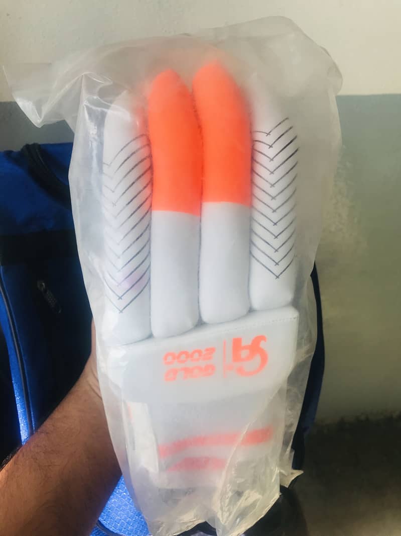 Hard Ball Cricket Kit 2