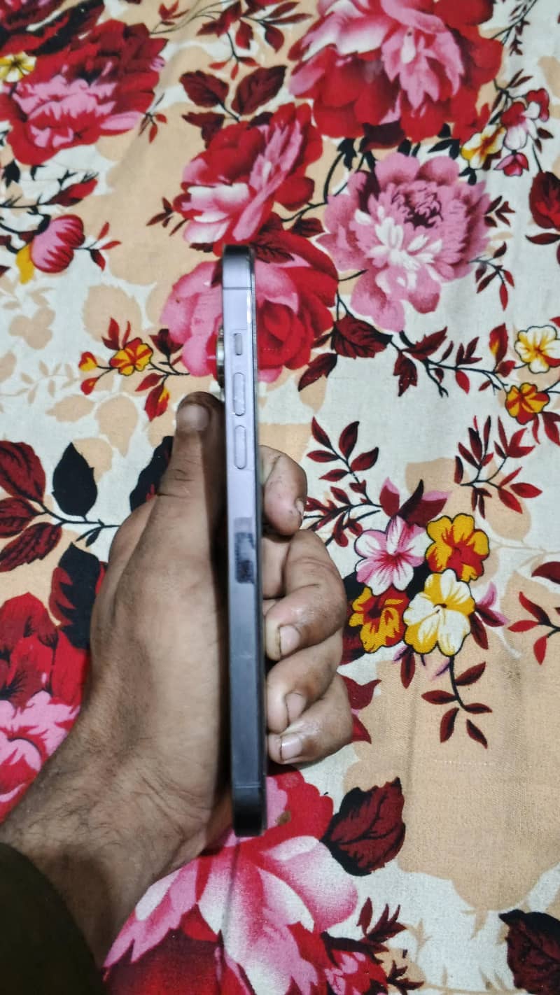 Apple iPhone 14 Pro Max 2