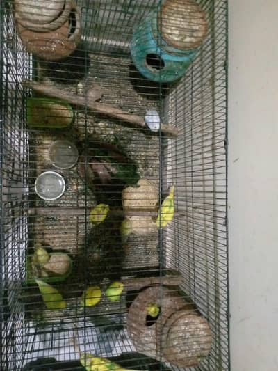 for sale