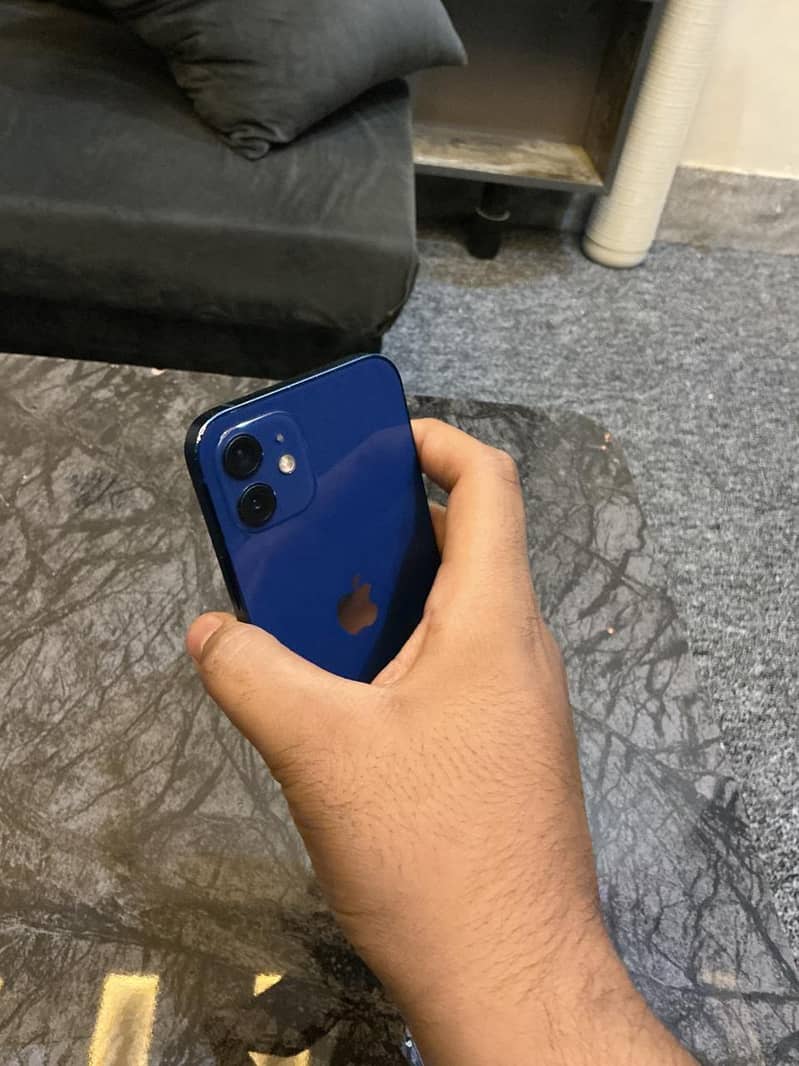 Apple iPhone 12 1