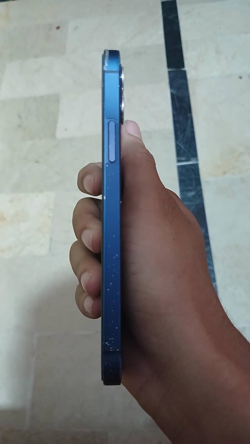 Apple iPhone 12 1