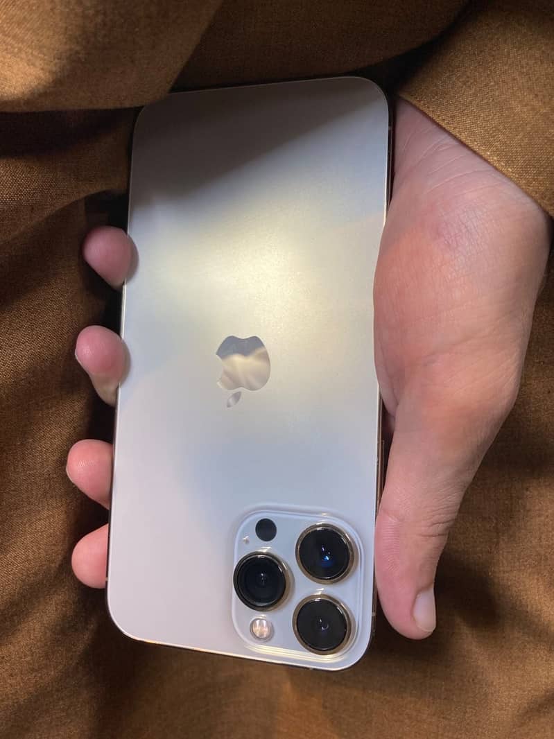 iPhone 13 Pro Max 0
