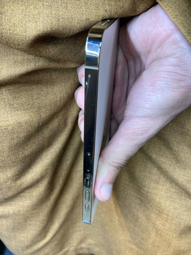 iPhone 13 Pro Max 2