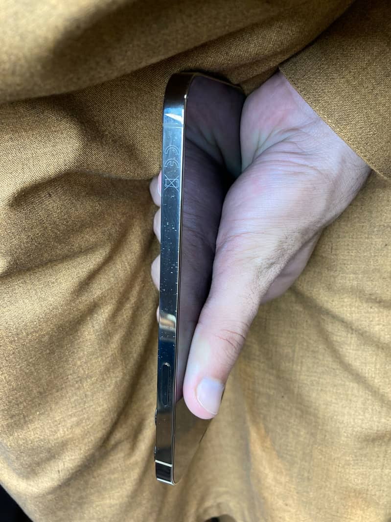 iPhone 13 Pro Max 5