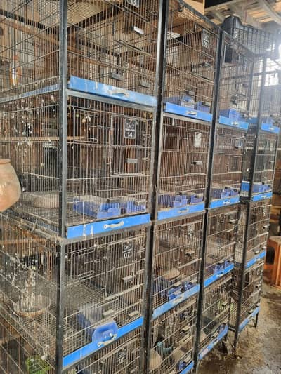iron cages for Parrots/birds