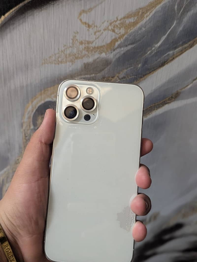 Apple iPhone 12 Pro Max 1