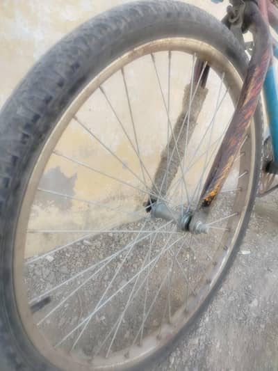 Cycle for Sale