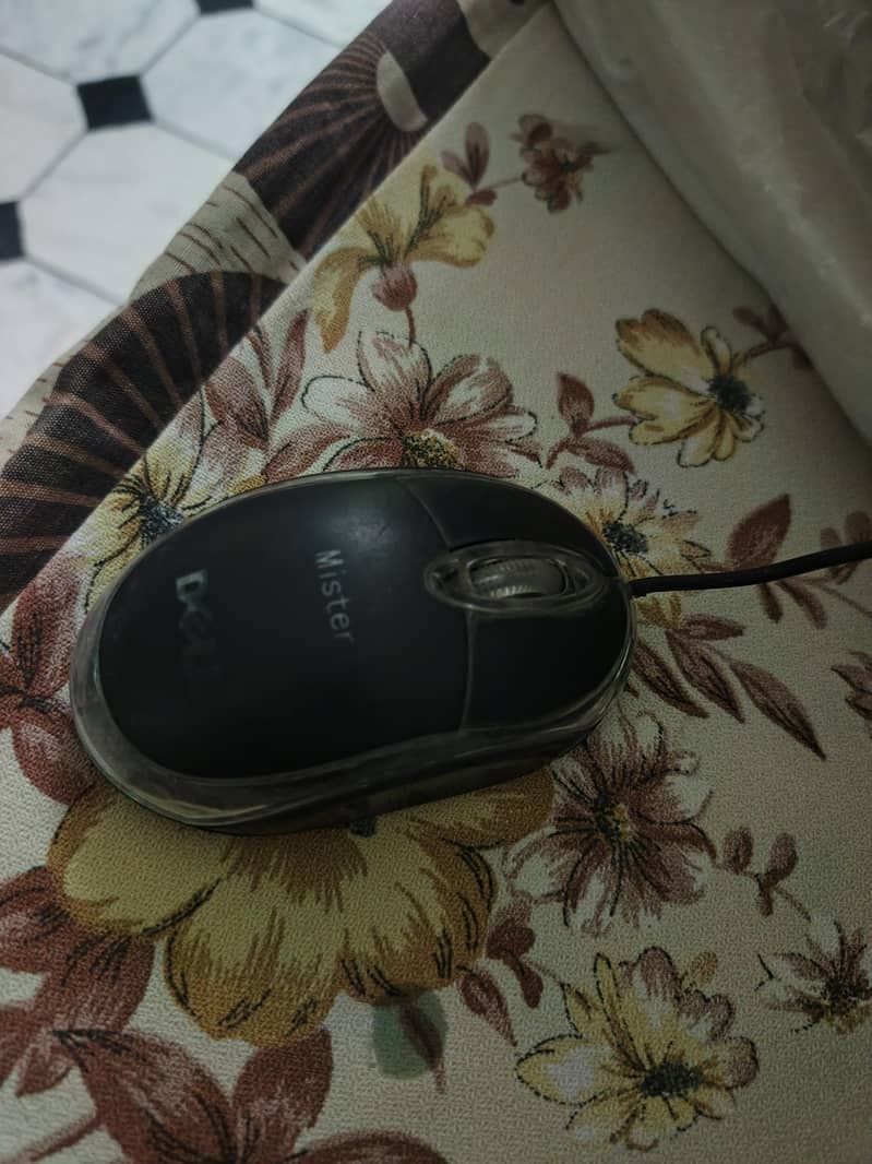 speakers and mouse 1