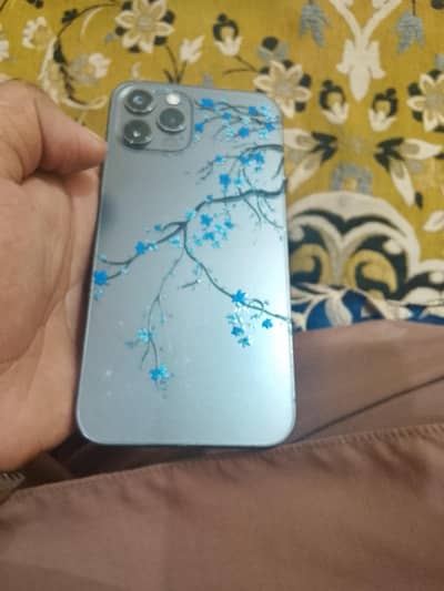 Apple iPhone 12 Pro