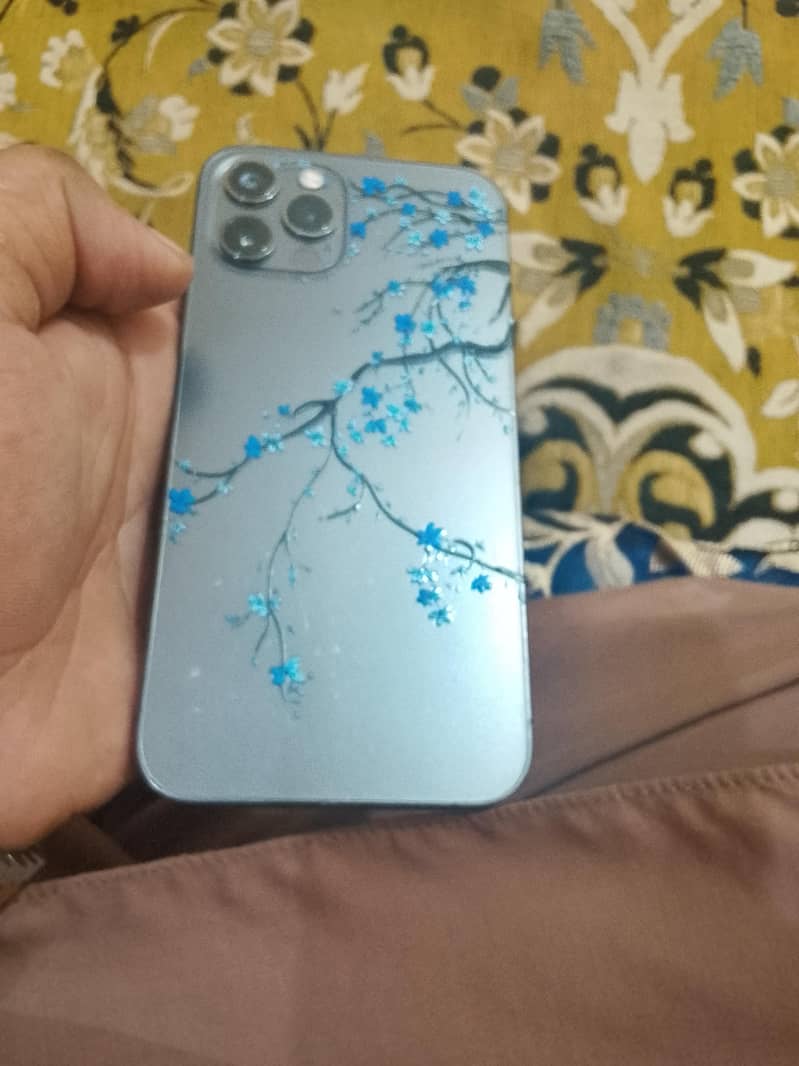 Apple iPhone 12 Pro 0