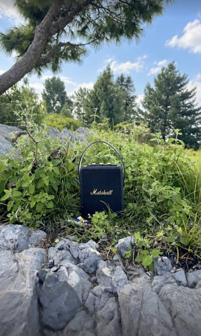 Marshall Stockwell II Best Condition
