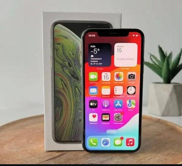 Apple iPhone X 1