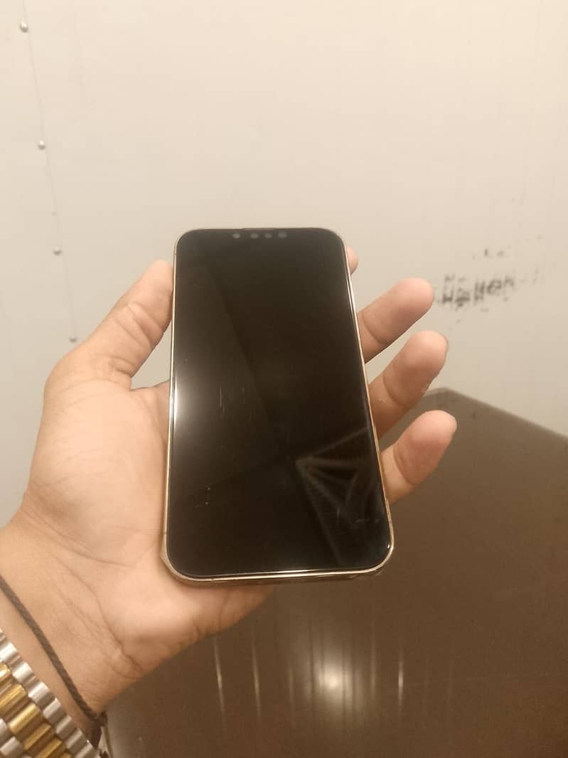 Apple iPhone 13 Pro 3