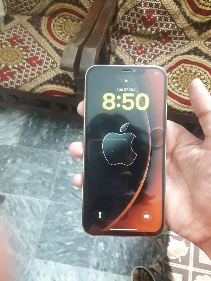 Apple iPhone 12 Pro Max 0