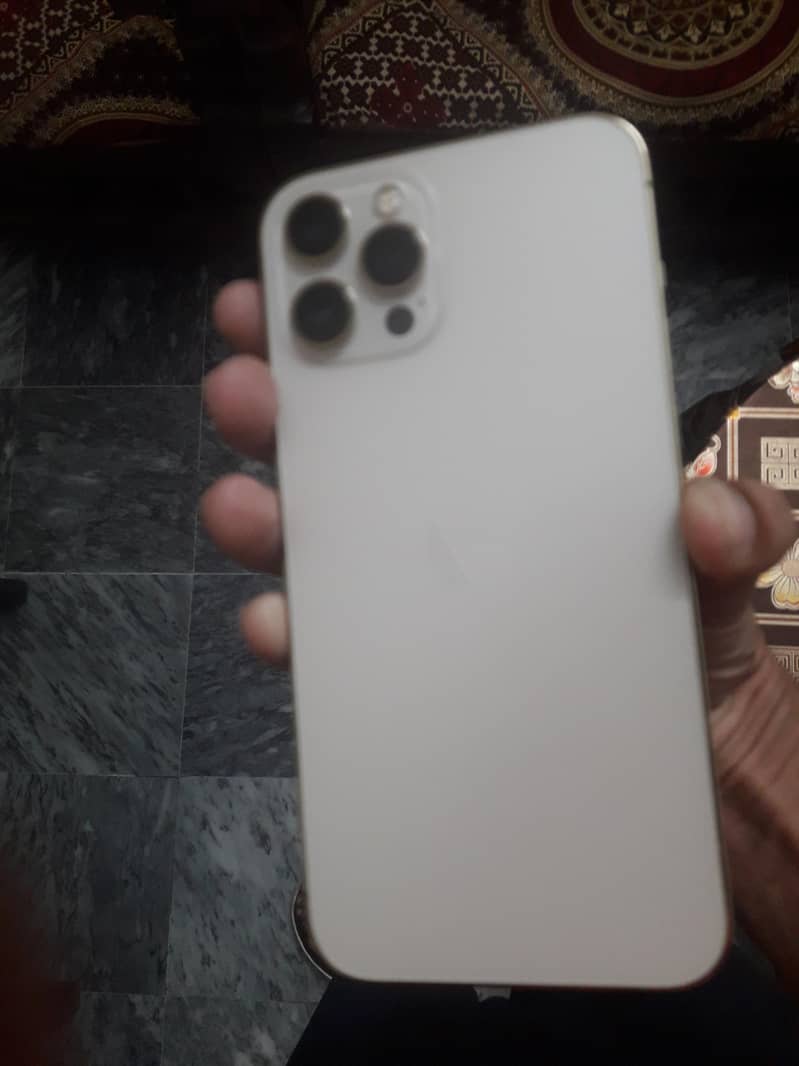 Apple iPhone 12 Pro Max 1