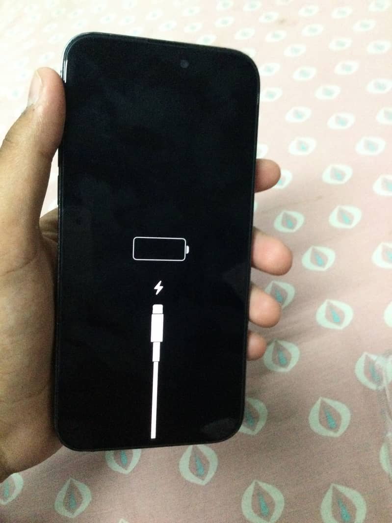 Apple iPhone 14 Pro Max 1