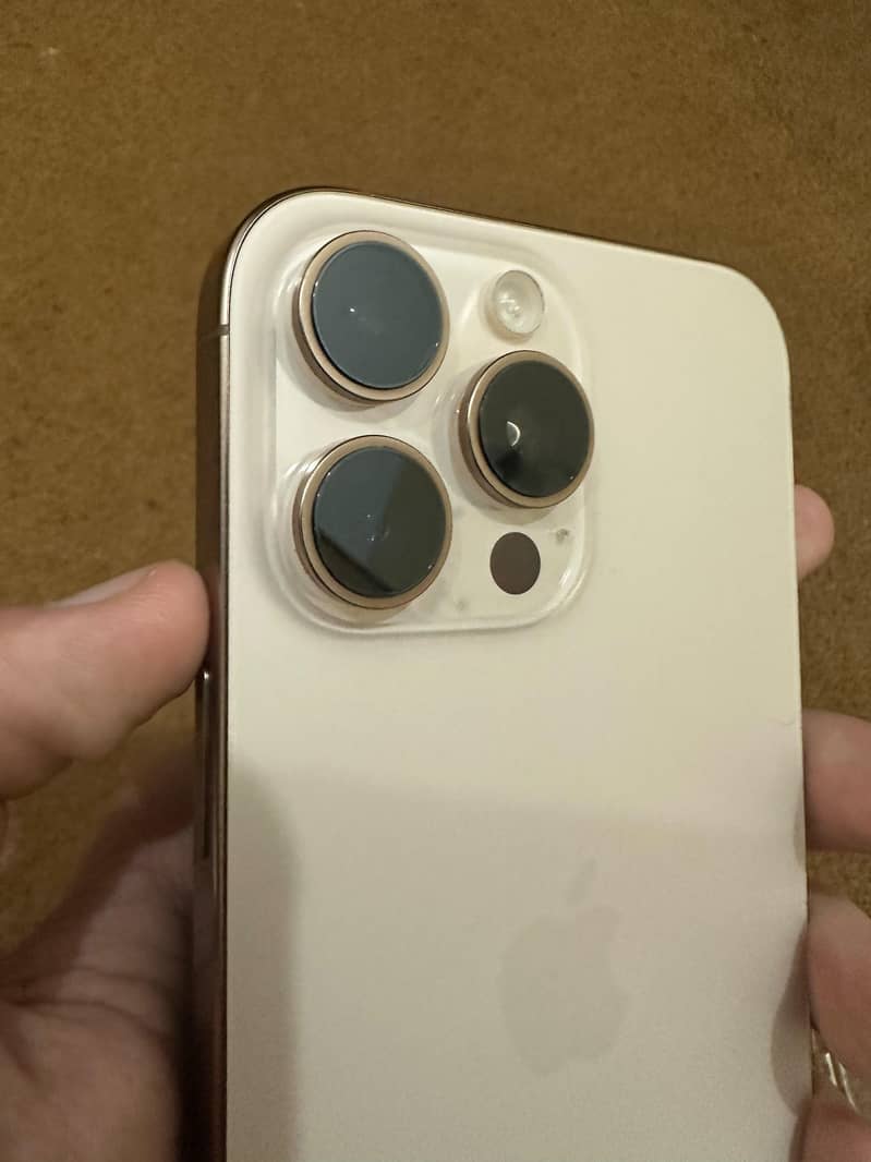 Apple iPhone 16 Pro Max 1