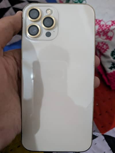 Apple iPhone 12 Pro Max