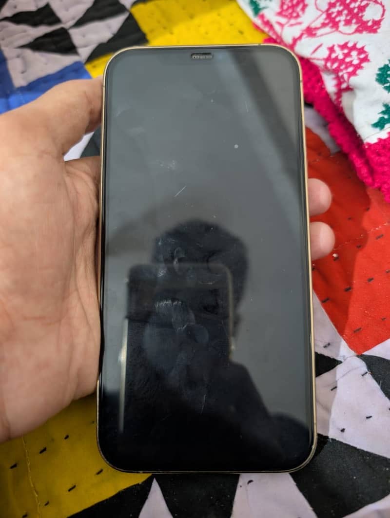Apple iPhone 12 Pro Max 2