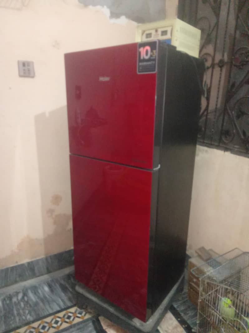 fridge 5ft 1