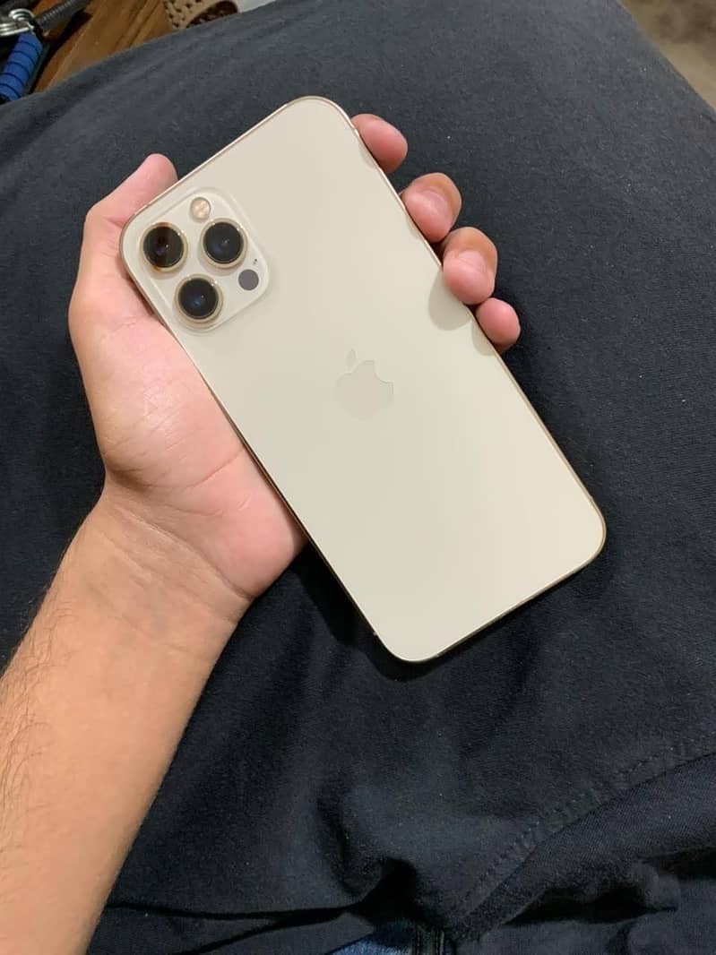 Apple iPhone 12 Pro Max 1
