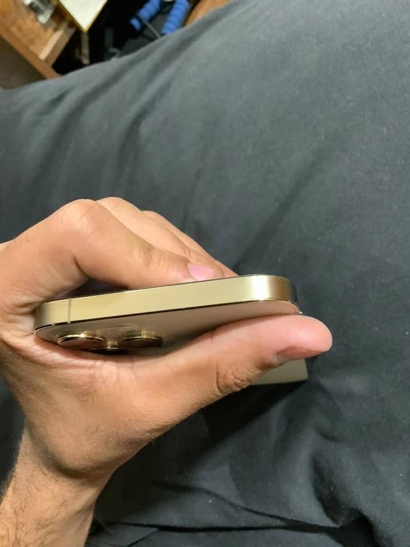 Apple iPhone 12 Pro Max 2